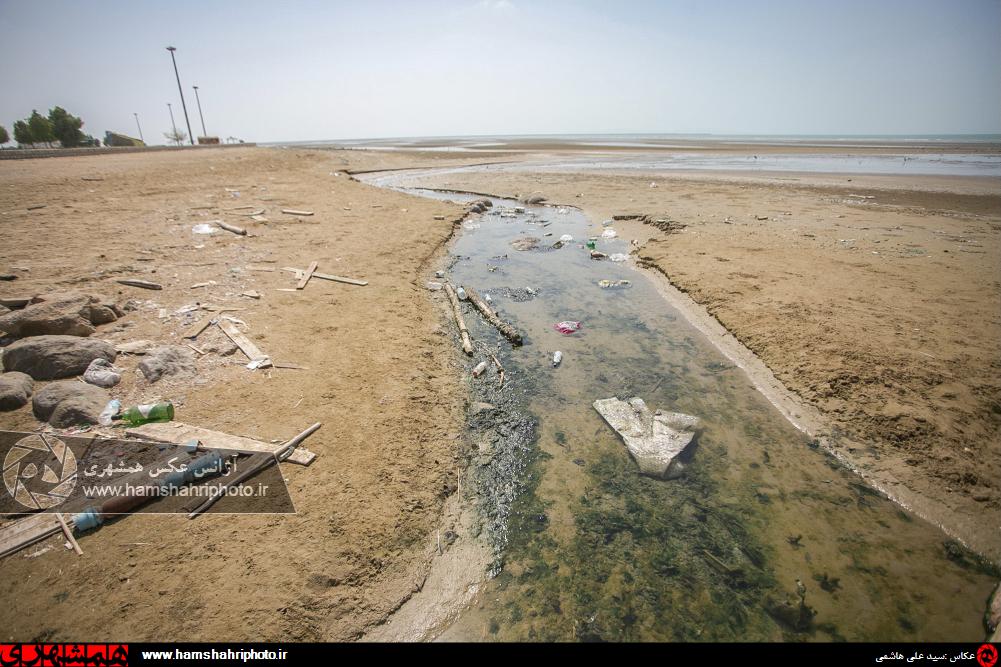 عکس/ ورود آبهای آلوده به دریا در ساحل بندرعباس