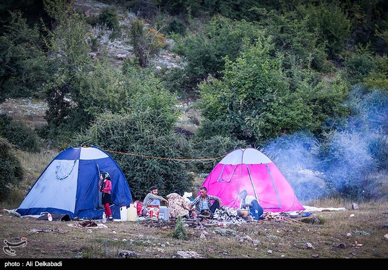طبیعت تابستانی «جنگل اولنگ» و چشمه «گل رامیان»