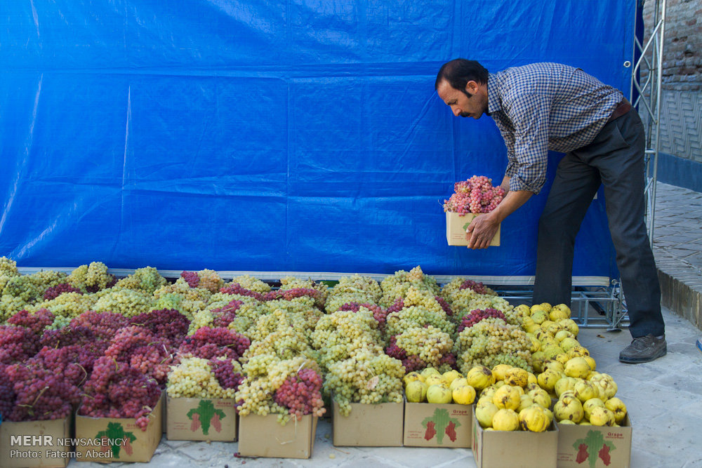 جشنواره انگور در روستای هزاوه