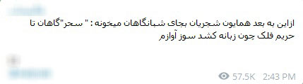 ازدواج دوم «همایون شجریان» با «سحر دولتشاهی» واقعیت دارد؟