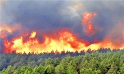 آتش‌سوزی در سه منطقه از جنگل‌های گلستان