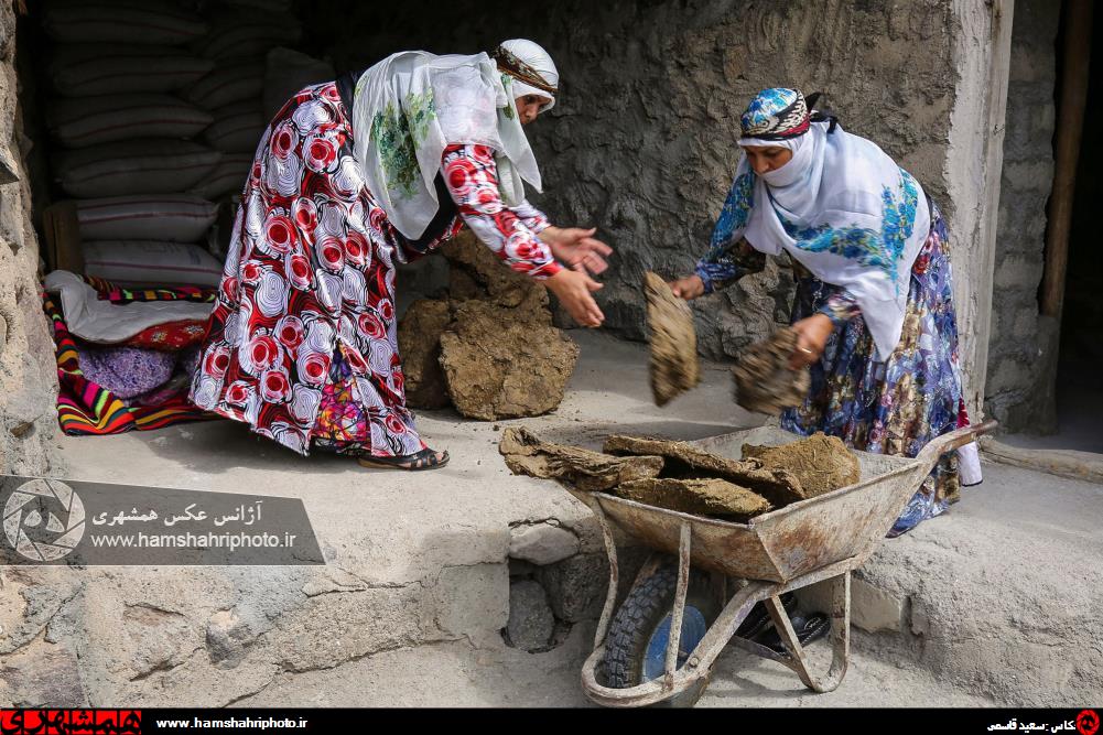 عکس/ سوغات محلی مشگین شهر