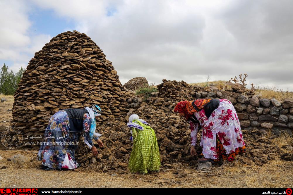 عکس/ سوغات محلی مشگین شهر