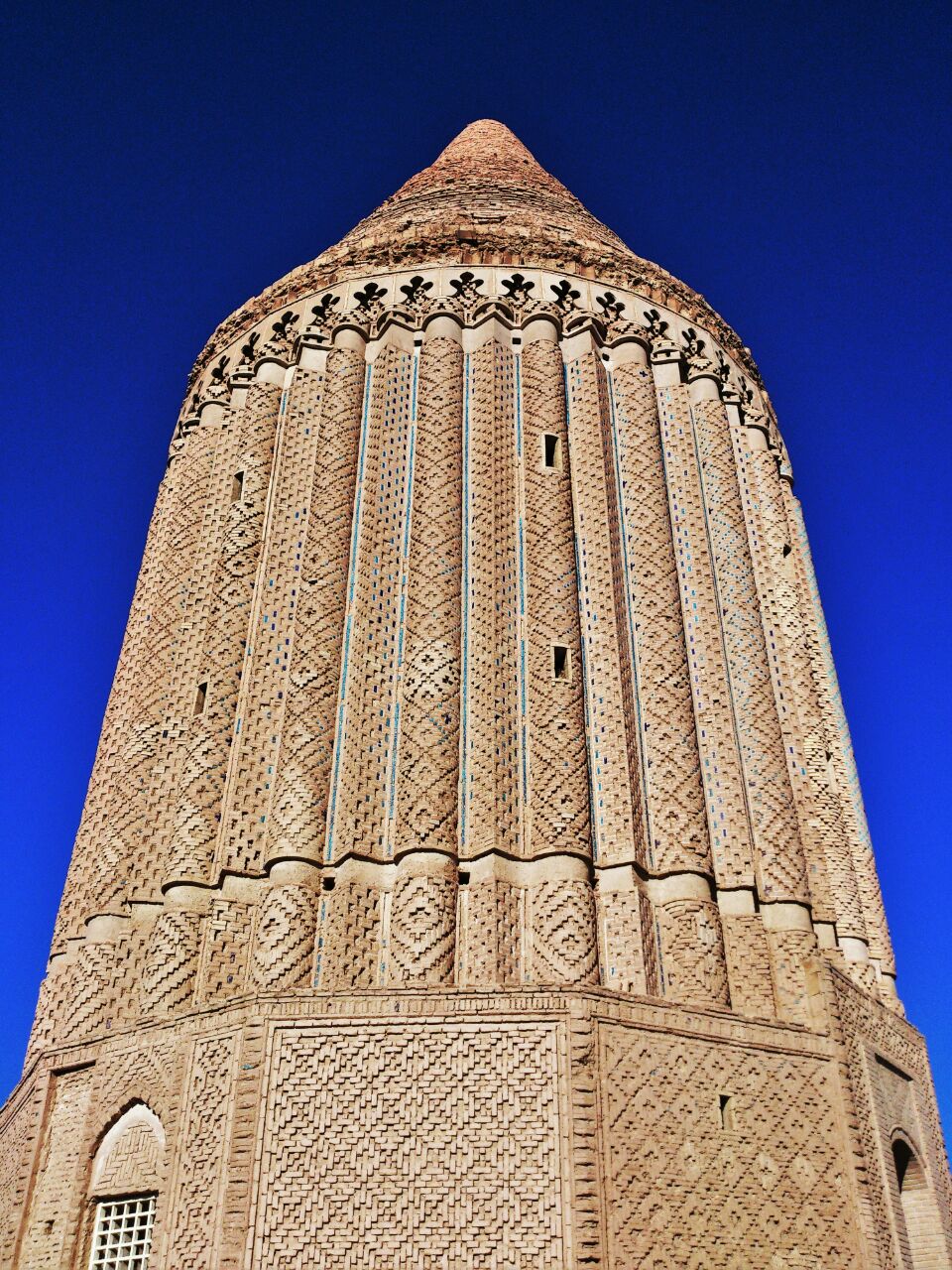 گوناگون/ درخت سرو ؛ نماد استقامت و پایداری ایران