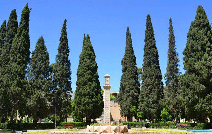 گوناگون/ درخت سرو ؛ نماد استقامت و پایداری ایران
