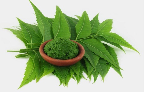 پوست و مو/ چگونه از شر عوارض رنگ مو‌های شیمیایی رها شویم؟