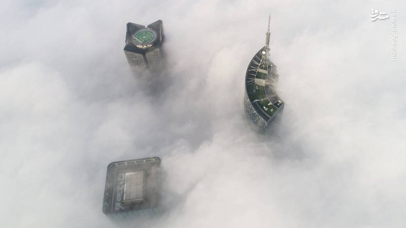 شانگهای در مه فرو رفت