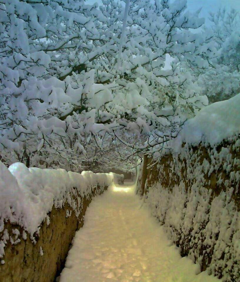 نمایی زیبا از بارش برف در روستای طار استان اصفهان