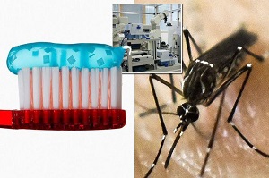 درمان مالاریا با استفاده از ترکیبات خمیردندان