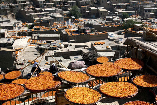 ایرانسرا/ سفر به «خرو» پایتخت لواشک و آلو ایران!