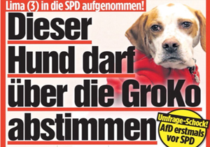 عضویت جنجالی یک سگ در حزب آلمانی!