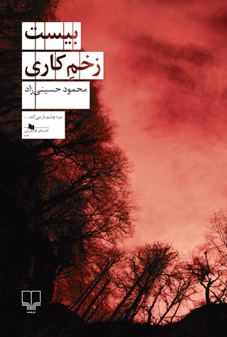 «بیست زخم کاری»؛ یک رمان ایرانی موفق