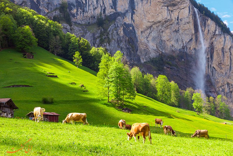 جهان نما/ دره ای دیدنی با هفتاد و دو آبشار در سوییس