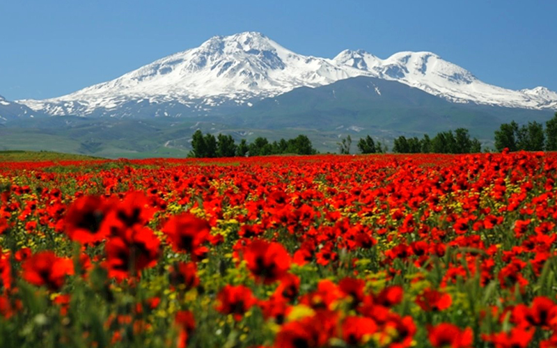  بلندترین قله ها و رشته کوه های ایران را بشناسید