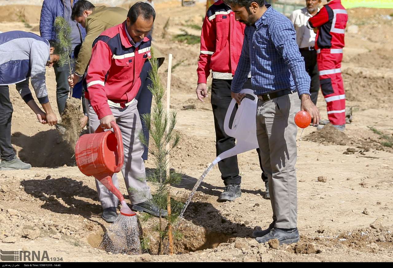 عکس/ غرس نهال در سراسر کشور