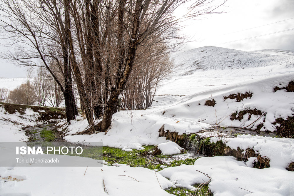 عکس/ بارش برف در آستانه بهار در آذربایجان شرقی