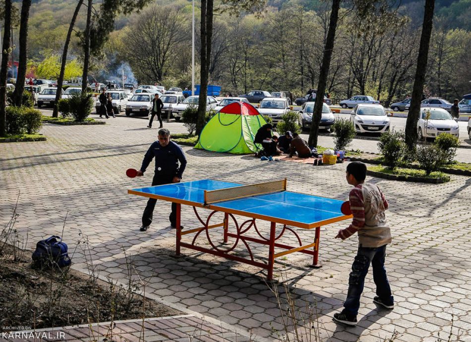 جنگل رویایی طبیعت گلستان؛ ناهارخوران گرگان
