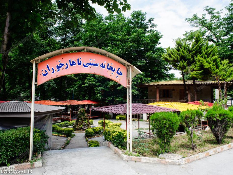 جنگل رویایی طبیعت گلستان؛ ناهارخوران گرگان