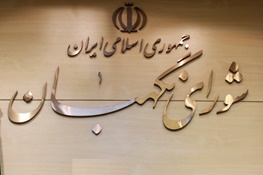 تعریف مبهم شورای نگهبان از رجل سیاسی