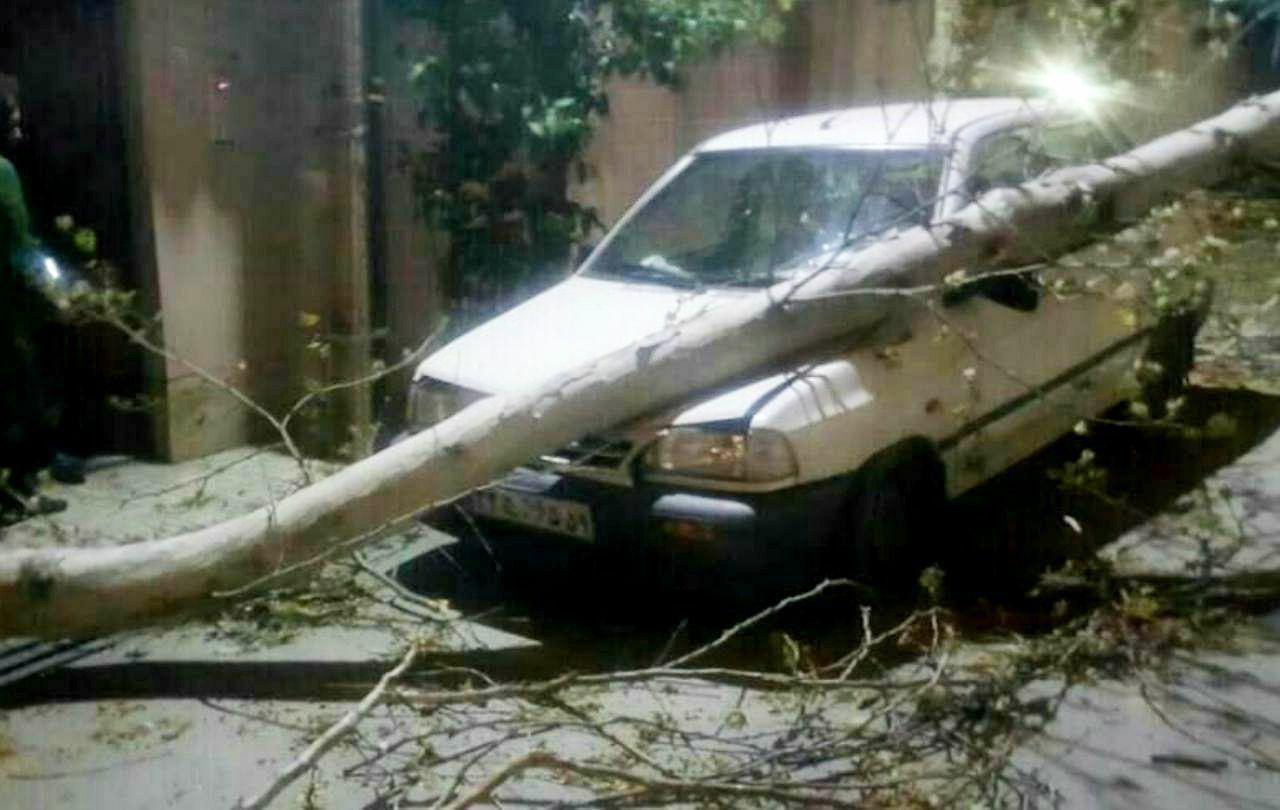 سقوط درخت بر روی خودرو بر اثر طوفان در گرگان