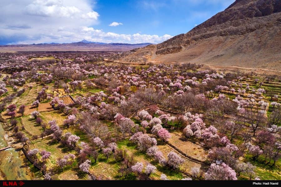 شهر زیبای خوانسار