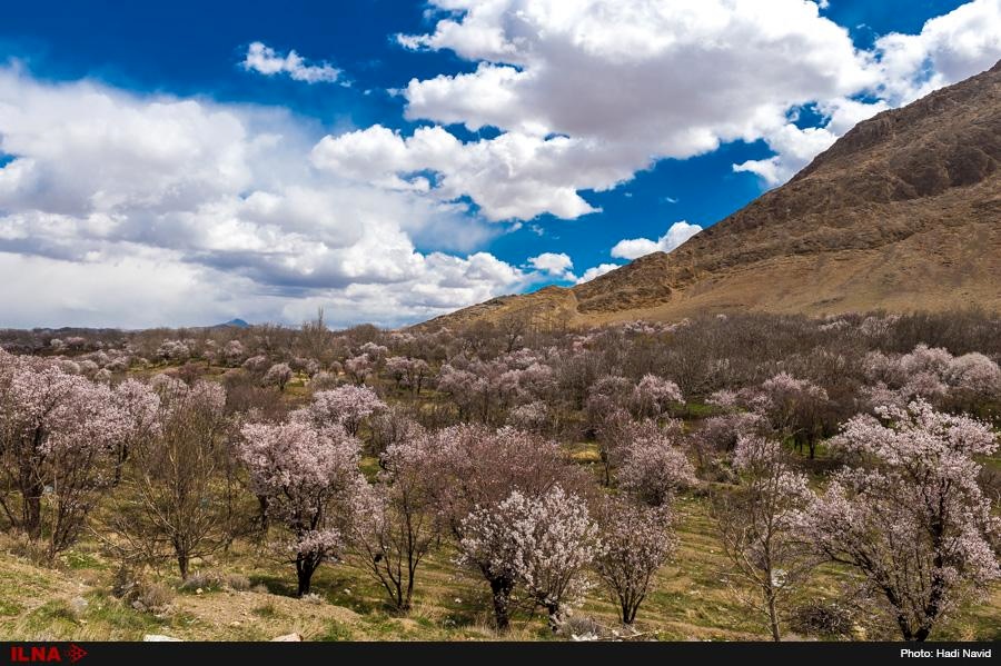 شهر زیبای خوانسار