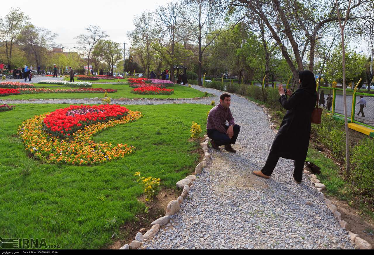 عکس/ جشنواره گل لاله در استان مرکزی