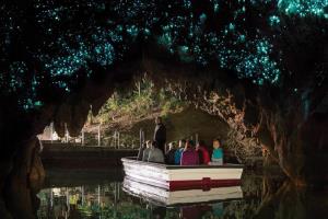 ویدئو/ کرم های شب تاب چلچراغ غارهای وایتوموی نیوزیلند