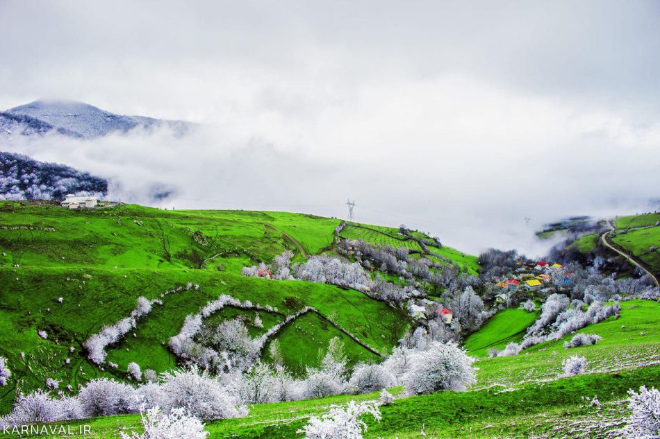 گردنه حیران دیدنی‌ترین جاده جنگلی ایران