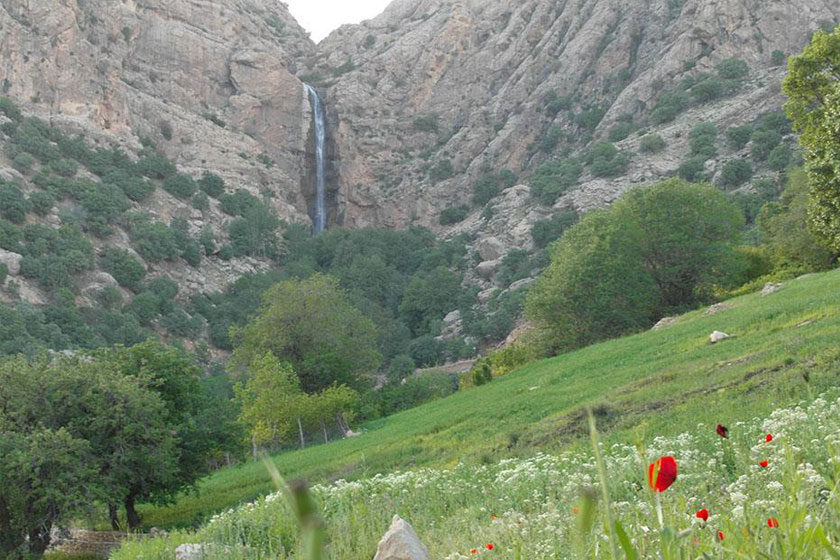 ایرانسرا/ جهرم در یک نگاه