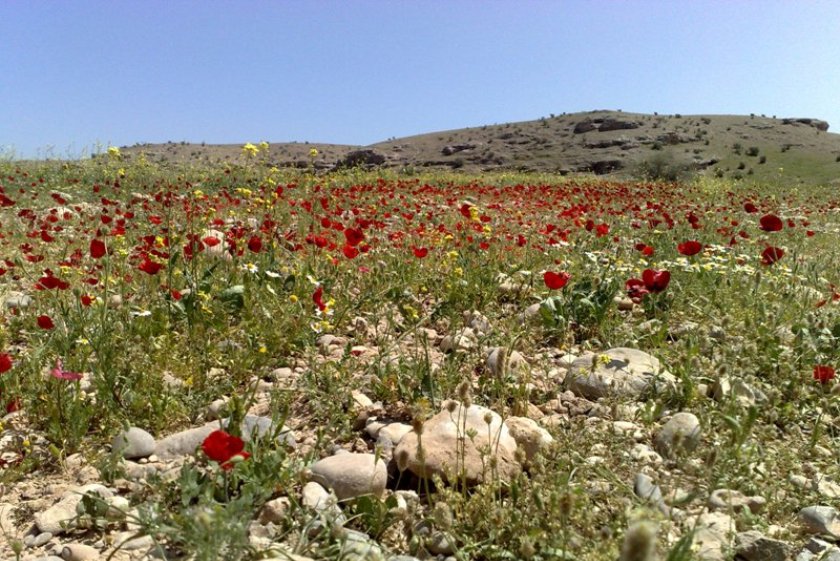 ایرانسرا/ بهبهان در یک نگاه