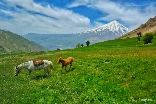 ایرانسرا/ دشت آزو، بهترین چشم انداز دماوند