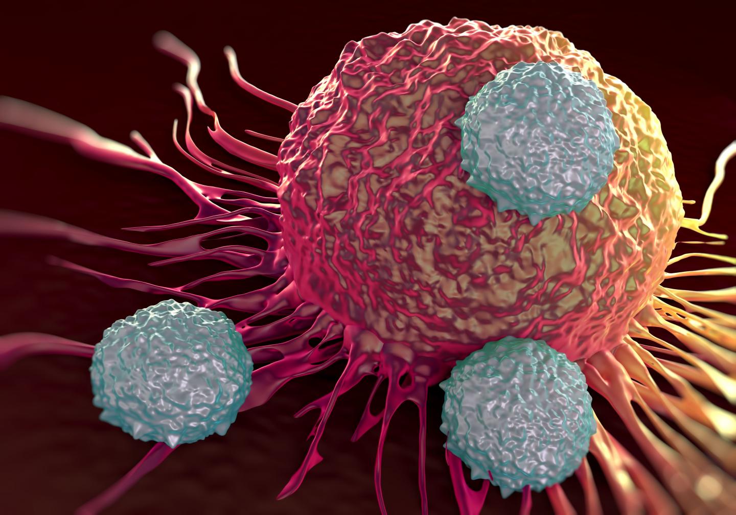 دانشمندان به مکانیزم مخفی شدن سلول‌های سرطان سینه پی بردند