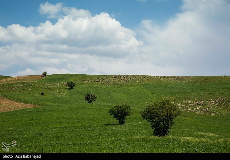 عکس/ طبیعت زیبای «آبشار گریت» در لرستان