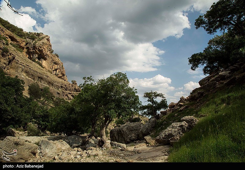 عکس/ طبیعت زیبای «آبشار گریت» در لرستان