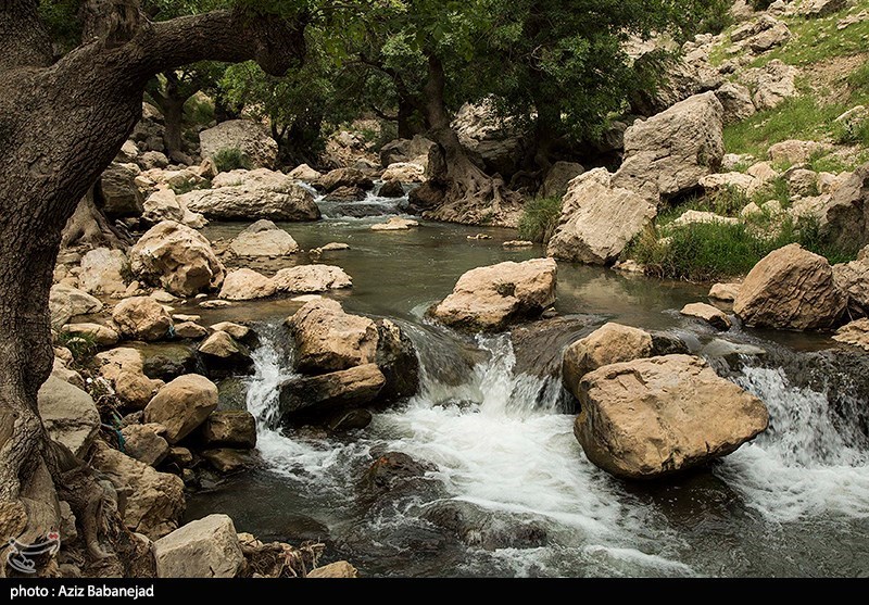 عکس/ طبیعت زیبای «آبشار گریت» در لرستان