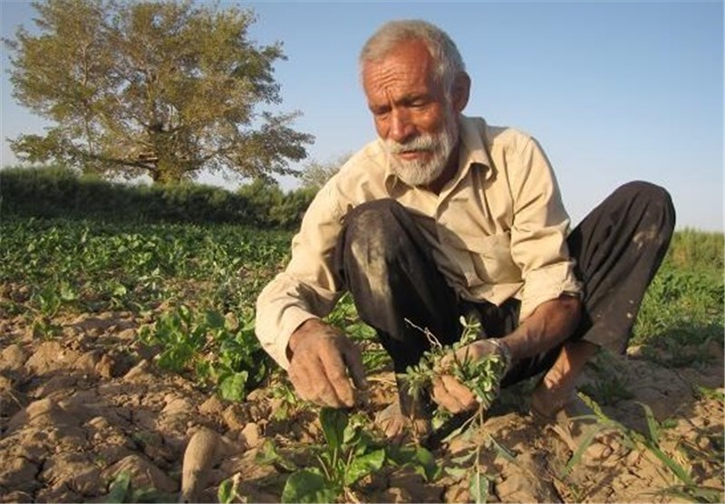 کشاورزان کرمانی خواستار استفاده از تانکر برای آبیاری مزارع شدند