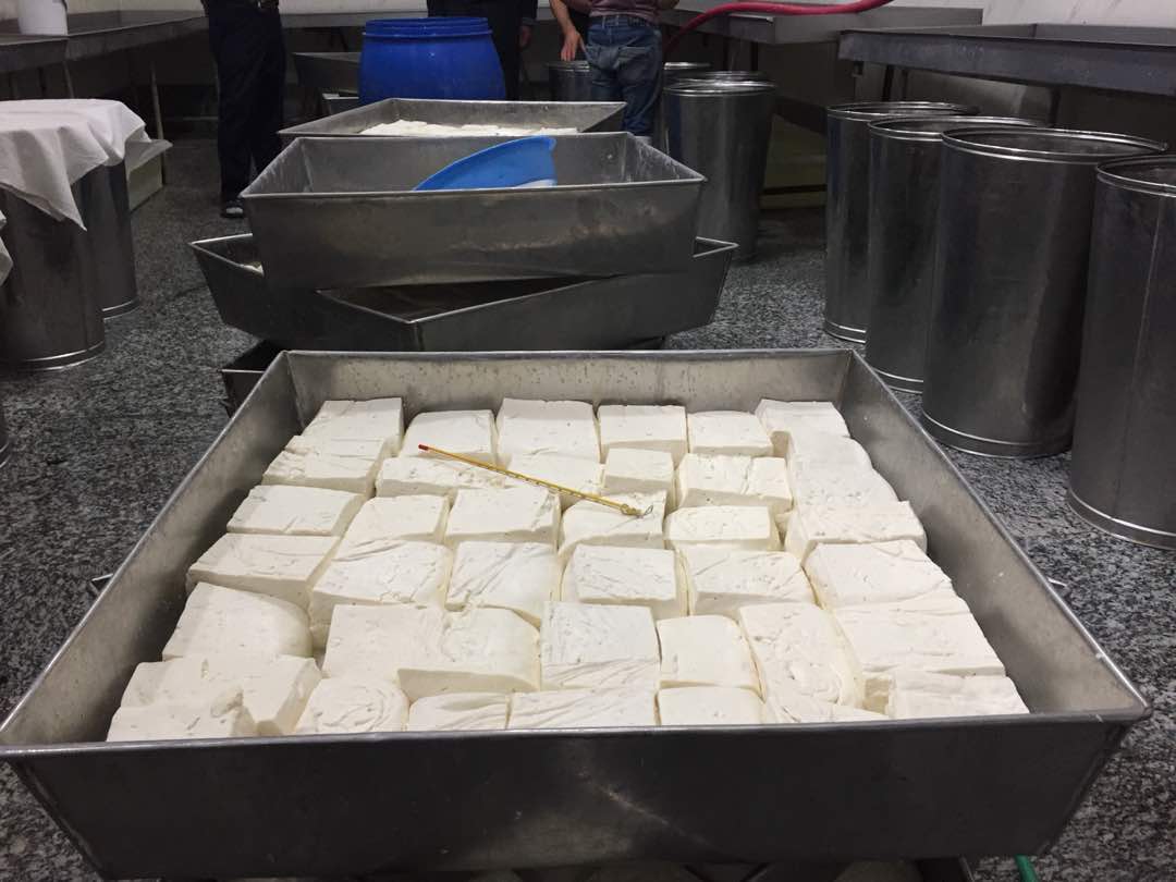 عکس/«لیقوانی‌ها» فرمول سری خود را لو نمی‌دهند/سفر به سرزمین پنیر