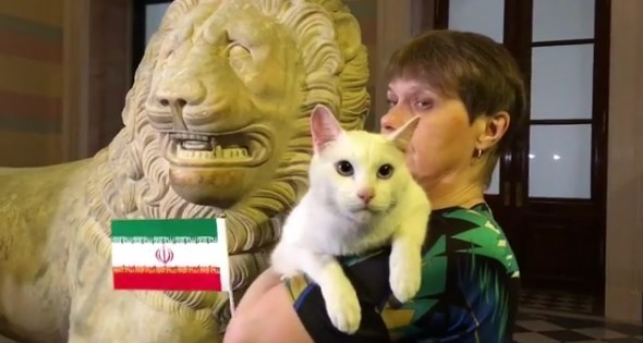 گربه‌ پیش‌گو نتیجه بازی ایران و مراکش را پیش‌بینی کرد
