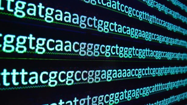 مخمری که قانون جهانی «DNA» را نقض می‌کند