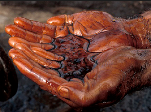 کاهش قیمت نفت در آستانه نشست اوپک