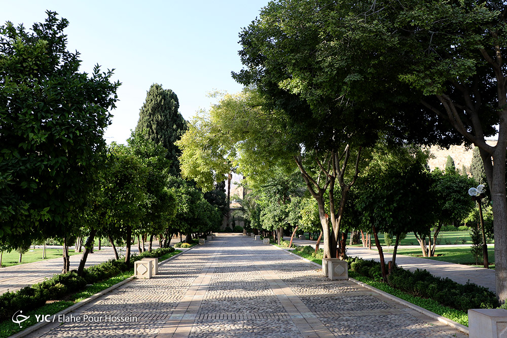 عکس/ زیبایی های باغ قدیمی جهان نمای شیراز