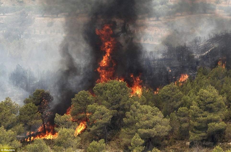 آتش سوزی در جنگل توشن گرگان