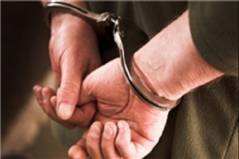دستگیری ۳۰ سارق در استان بوشهر
