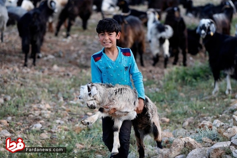 ۱۸ تصویر بی‌نظیر از آرامش زندگی چادرنشینان ترکیه