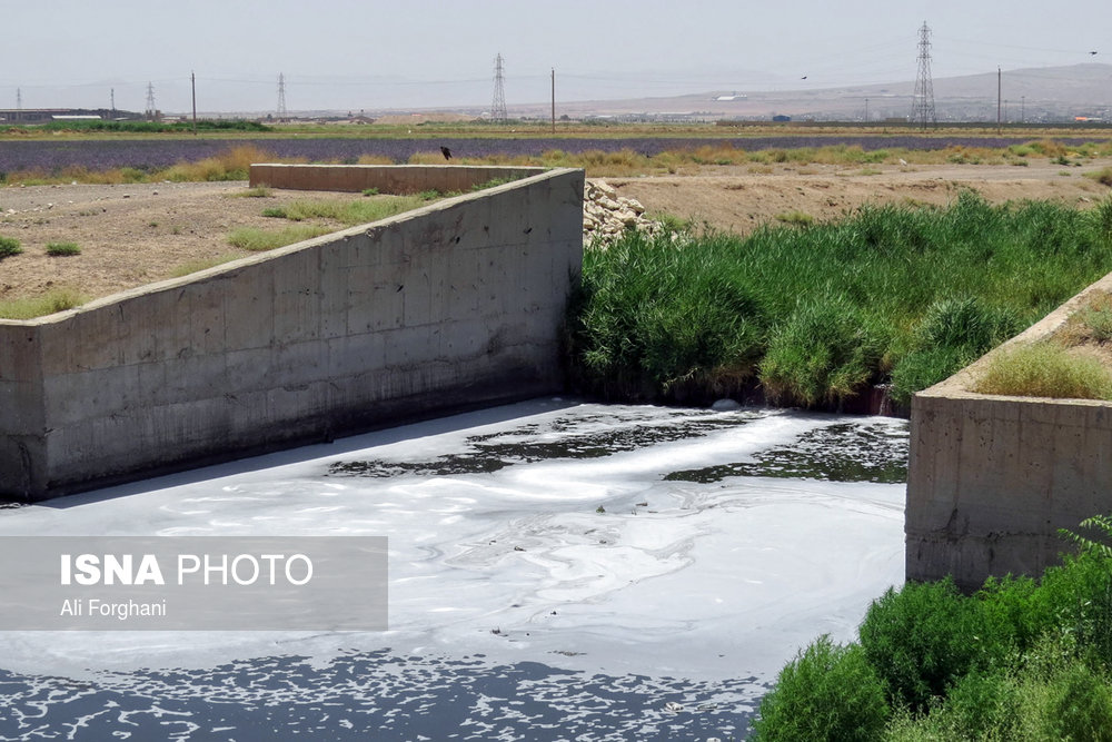 عکس/ اینجا «سرطان» می‌کارند