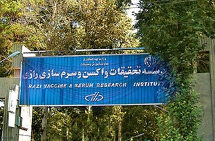 تولیدات موسسه رازی موجب مهار بیماری های خطرناک در کشور می‌شود/موسسه رازی چشم امید مردم ایران است