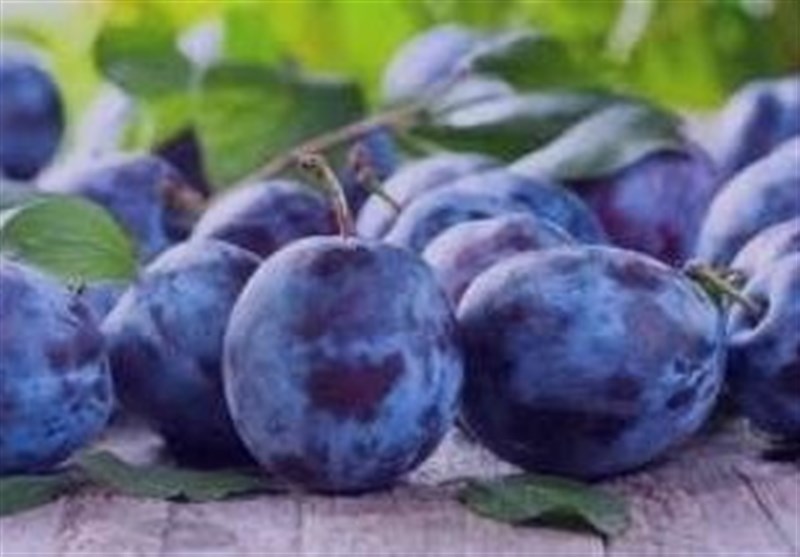 قیمت ۲ تا ۲۰ هزار تومانی انواع میوه