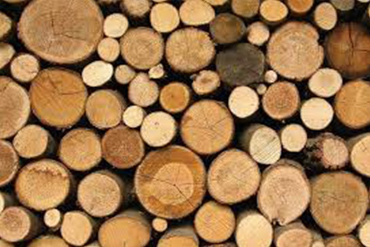 تاثیر تغییرات اقلیمی روی کاهش تراکم چوب درختان