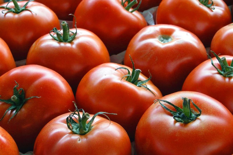 داستان قیمت «گوجه فرنگی» از کجا آب میخورد